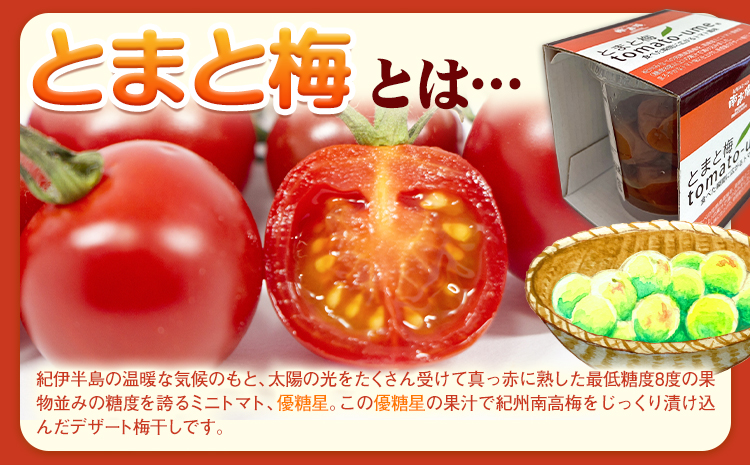 南高梅 tomato-ume とまと 梅 100g×5 有限会社プラム《30日以内に出荷予定(土日祝除く)》和歌山県 日高町 送料無料 梅 うめ ウメ 南高梅 紀州 トマト梅 送料無料