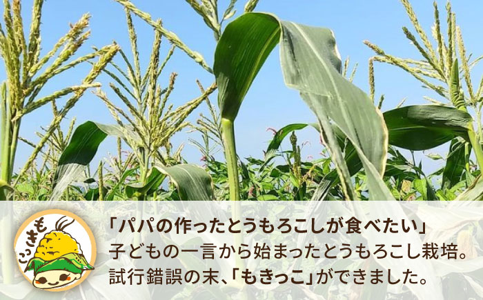 【お中元対象】【 先行予約：2024年7月以降順次発送 】 糸島 トウモロコシ 『もきっこ』 白 （ 8～10本 ） 《糸島》 【内田農業】 [AZH002]