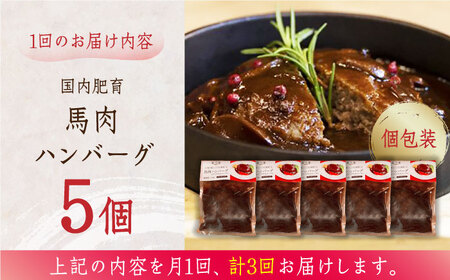 【全3回定期便】国内肥育 冷凍 馬肉ハンバーグ 計1kg ( 200g × 5個 ) 国内肥育 デミグラスソース入り 小分けハンバーグ 個包装ハンバーグ 惣菜 湯煎 熊本ハンバーグ 国産ハンバーグ  