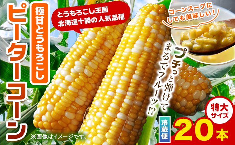 極甘とうもろこし ピーターコーン 20本 特大サイズ(1本380g以上) 高橋賢三【先行予約】《2025年8月上旬-9月中旬頃出荷》 送料無料 北海道 本別町 北海道 十勝 本別町産 極甘 特大 とうもろこし バイカラー フルーティー とうきび トウモロコシ 高糖度 夏野菜 旬