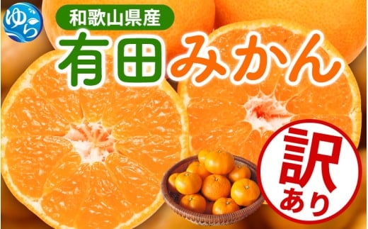 【先行予約】家庭用 有田みかん サイズ混合(2S～2L) 7.5kg+250g  ※11月より発送(完熟)  訳あり わけあり 光センサー選果 くだもの 果物 みかん 有田みかん ミカン 柑橘 【ikd116D】