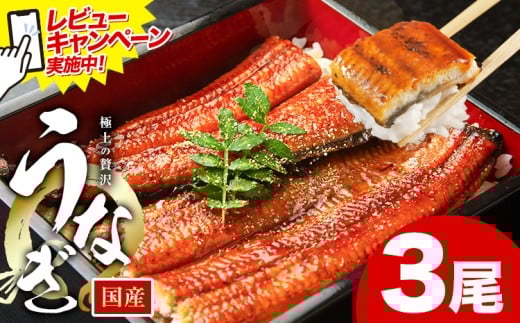 レビューキャンペーン実施中！ うなぎ 鰻 ご家庭用  3尾 (サイズ不選別：1尾当たり140g-180g) 福岡県産 鰻の蒲焼き 数量限定 株式会社HOMIE《12月上旬-12月末頃出荷》福岡県 鞍手郡 鞍手町 鰻 蒲焼き 数量限定 国産 蒲焼 うなぎ蒲焼