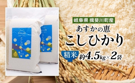  あすかの恵 こしひかり 精米 約 4.5kg × 2袋 お米 米 コメ 揖斐川 飛鳥川 玄米 白飯 ご飯 ふっくら 艶 ツヤ 旨味 甘い 朝食 夕食 強火 弱火 真空パック 株式会社あすか 岐阜県 
