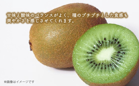 【先行予約】 愛媛県西条産 「キウイフルーツ」（JA周桑） 4Lサイズ12玉入り　大玉サイズ キウイ　2025年2月～3月発送