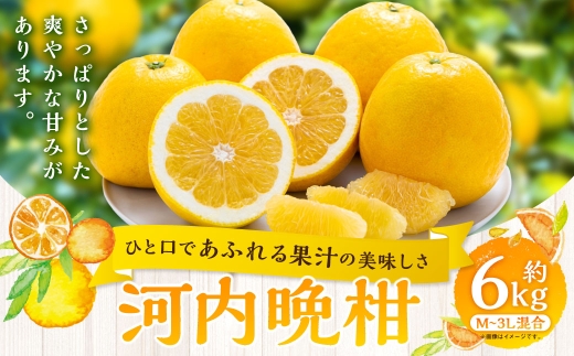 【 ひと口であふれる果汁の美味しさ 】 河内晩柑 約6kg みかん ミカン 柑橘 柑橘系 柑橘類 くだもの 果物 フルーツ 果実 果汁 果肉 国産 愛媛県産 【 2027年3月下旬～7月上旬 】 ( 1089 )