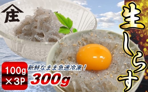 生しらす 300g ( 100g × 3袋 ) 冷凍 刺身 真空パック ごはん 丼 サラダ 魚 料理 愛知県 南知多町 師崎 シラス しらす 小魚 魚貝 魚貝類 しらす シラス 海鮮 しらす丼 シラス丼 ふるさと納税しらすしらす おすすめ 大人気 南知多産しらす愛知県産しらす