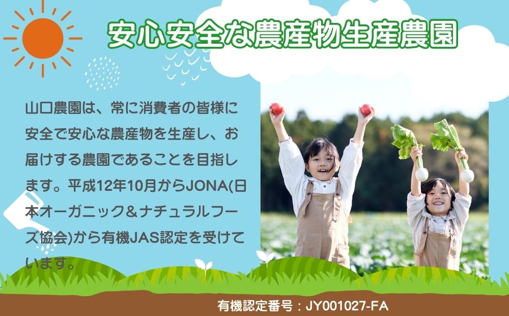 定期便 3ヶ月 農家のたっぷり野菜カレー 30個 月1回 ／ふるさと納税 山口農園 有機野菜 オーガニック 伝統野菜 レトルト 詰め合わせ ギフト カレーセット スパイス 飯 キャンプお取り寄せ 奈良
