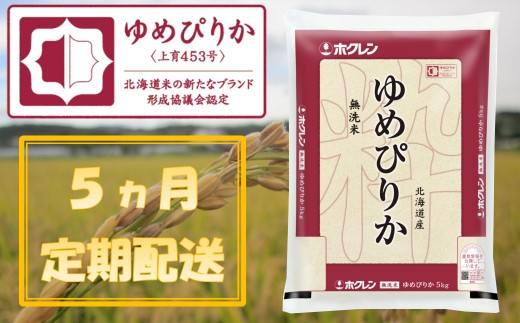 【ふるさと納税】（無洗米5kg）【5ヶ月定期配送】ホクレンゆめぴりか