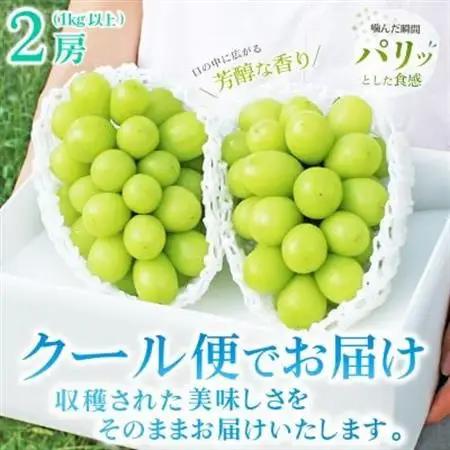 【発送月固定定期便】2026年発送 山梨 旬の果物 桃+種無し黒ぶどう+シャインマスカット 全3回_甘いシャインマスカット あまいシャインマスカット 美味しいシャインマスカット おいしいシャインマスカ