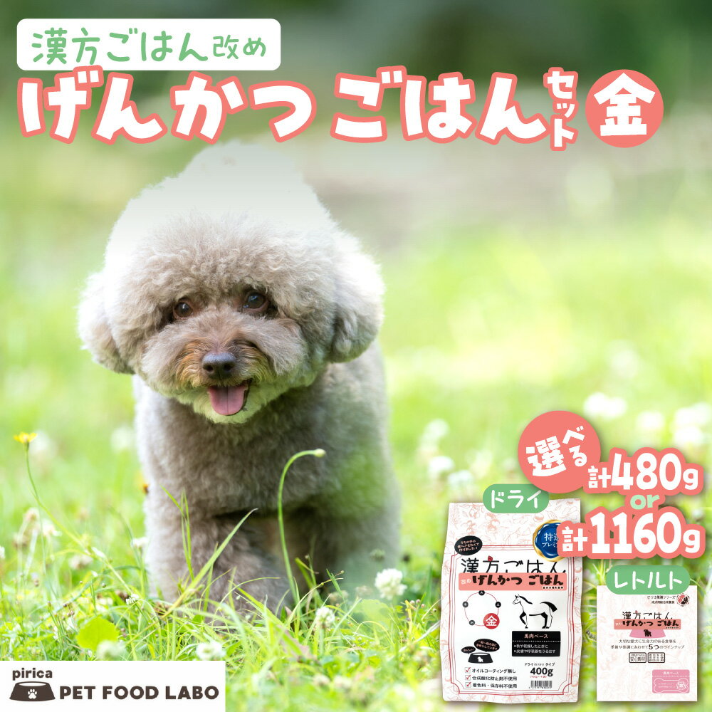 【ふるさと納税】 ペットフード 犬 げんかつごはん 【 選べる 容量 】 漢方ごはん 金 ドライタイプ レトルト 計480g 計1160g セット 愛犬用 ノンオイルコーティング 馬肉 食養生 薬膳 総合栄養食 安心素材 北海道食材 漢方食材 着色料 保存料 酸化防止剤不使用 北海道 札幌市