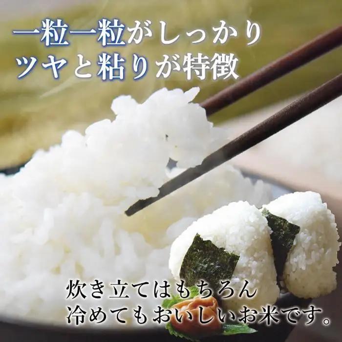 新米 無洗米 令和8年産 元気つくし 5kg 福岡県