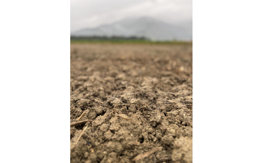 【全6回】【令和7年産】南魚沼塩沢産コシヒカリ＜yusui＞5kg×6ヶ月　白米　