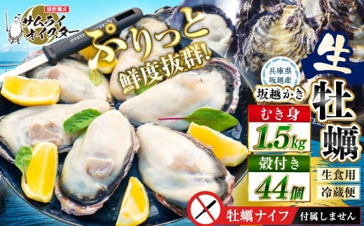 牡蠣 生食 坂越かき むき身 500g×3、 殻付き 44個