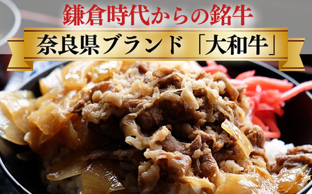 【 定期便 3回 】 奈良県産 黒毛和牛 大和牛 切り落し 500g ( 250g x2) ｜ブランド牛 和牛 金井畜産