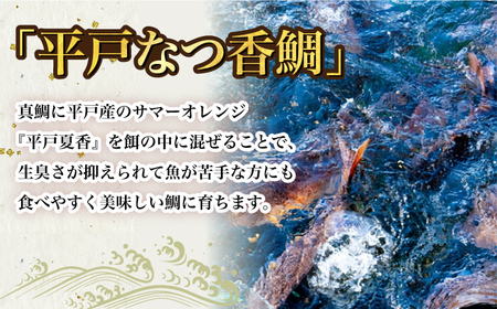 平戸なつ香鯛の漬けと味噌漬け【末弘丸株式会社】[KAA219]/ 長崎 平戸 魚介類 魚 鯛 たい タイ 真鯛 マダイ 味噌漬け 漬け丼 贈物 贈答 プレゼント