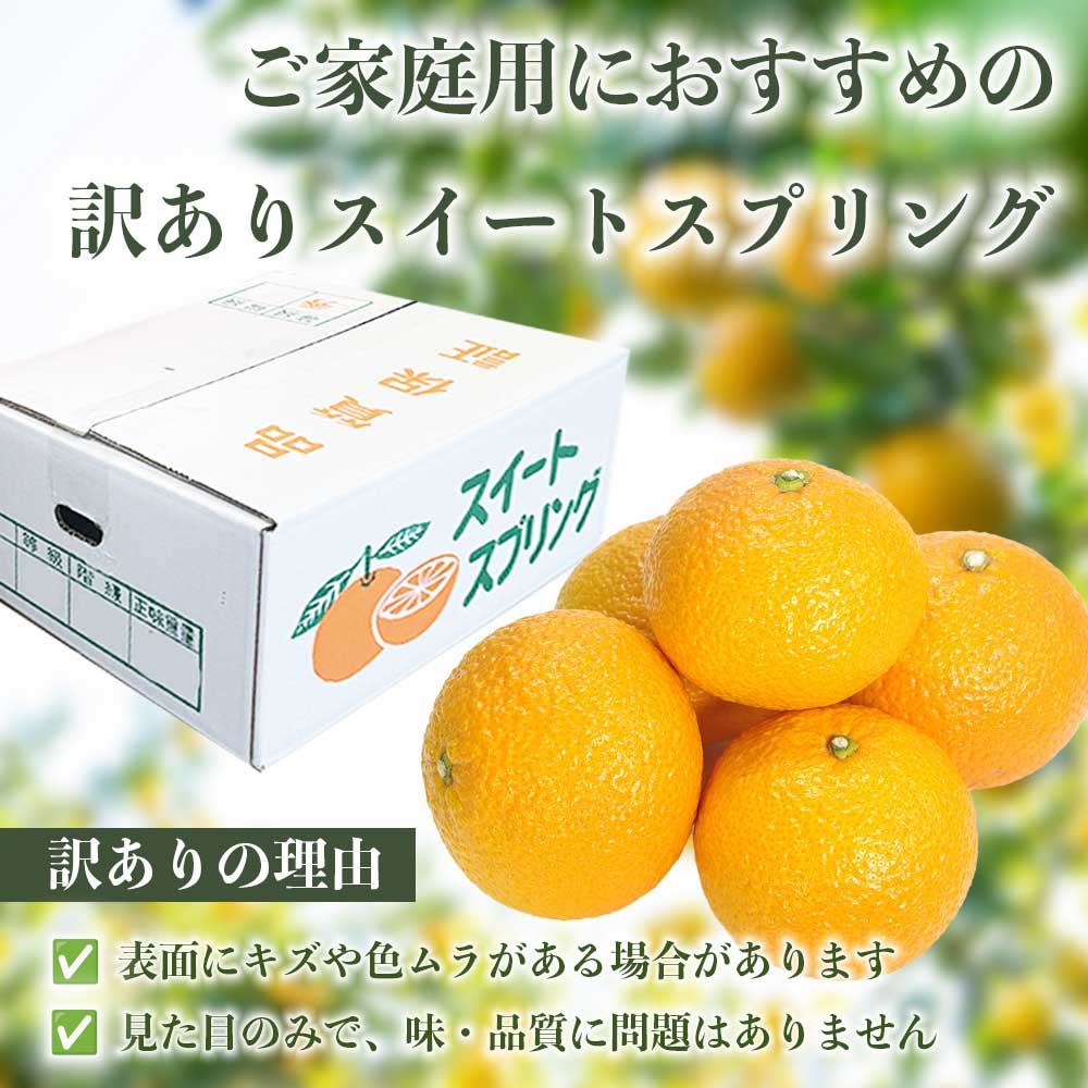 先行予約 訳ありスイートスプリング 約5kg【2027年1月中旬〜2027年3月上旬配送予定】みかん オレンジ 果物 フルーツ くだもの 柑橘 柑橘類 フルーツ 国産 熊本 熊本県 九州 産地直送 わ