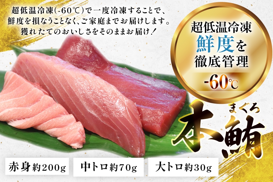 マグロ 切り身 極海一番 3種 セット 300g 3回 定期便 総計900g 詰め合わせ 食べ比べ [囲炉裏料理エビス亭 長崎県 平戸市 hr42bgy390172] まぐろ 刺身 料亭 赤身 中とろ