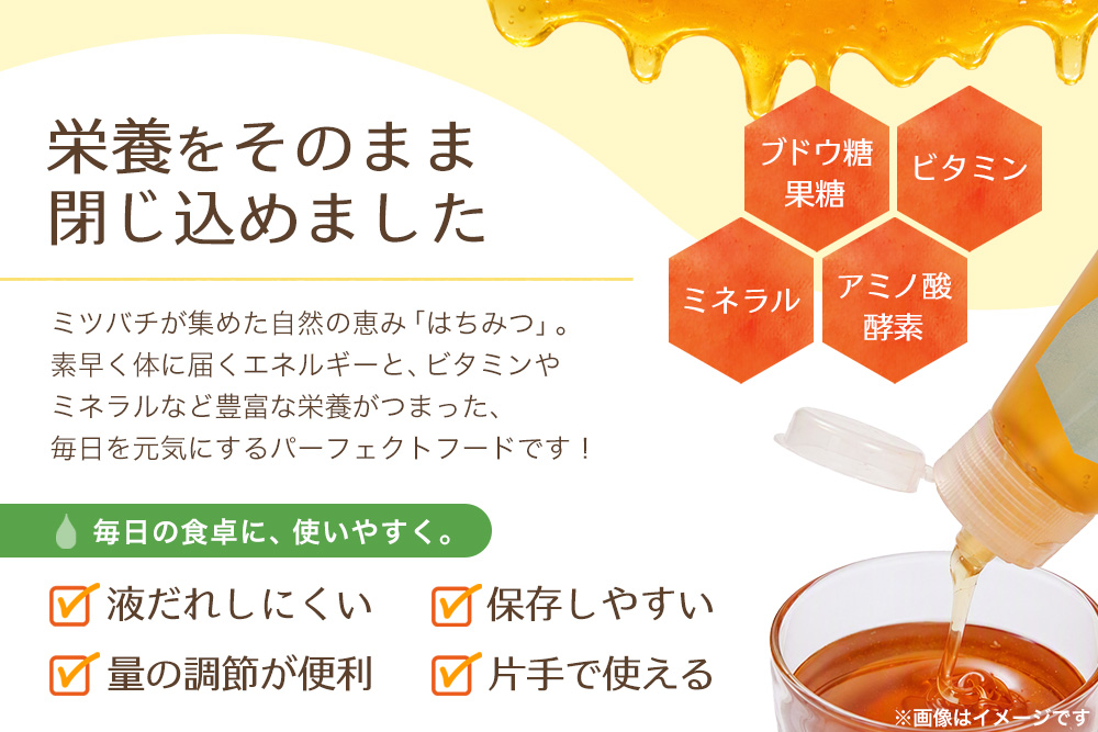 【2か月定期便】みよしのハチミツ2本セット(百花蜜・もちの木) 220g×2本(計220g×4本)【はちみつ 百花蜜 もちの木 国産 ミツバチ 甘み スッキリ コク】K063424