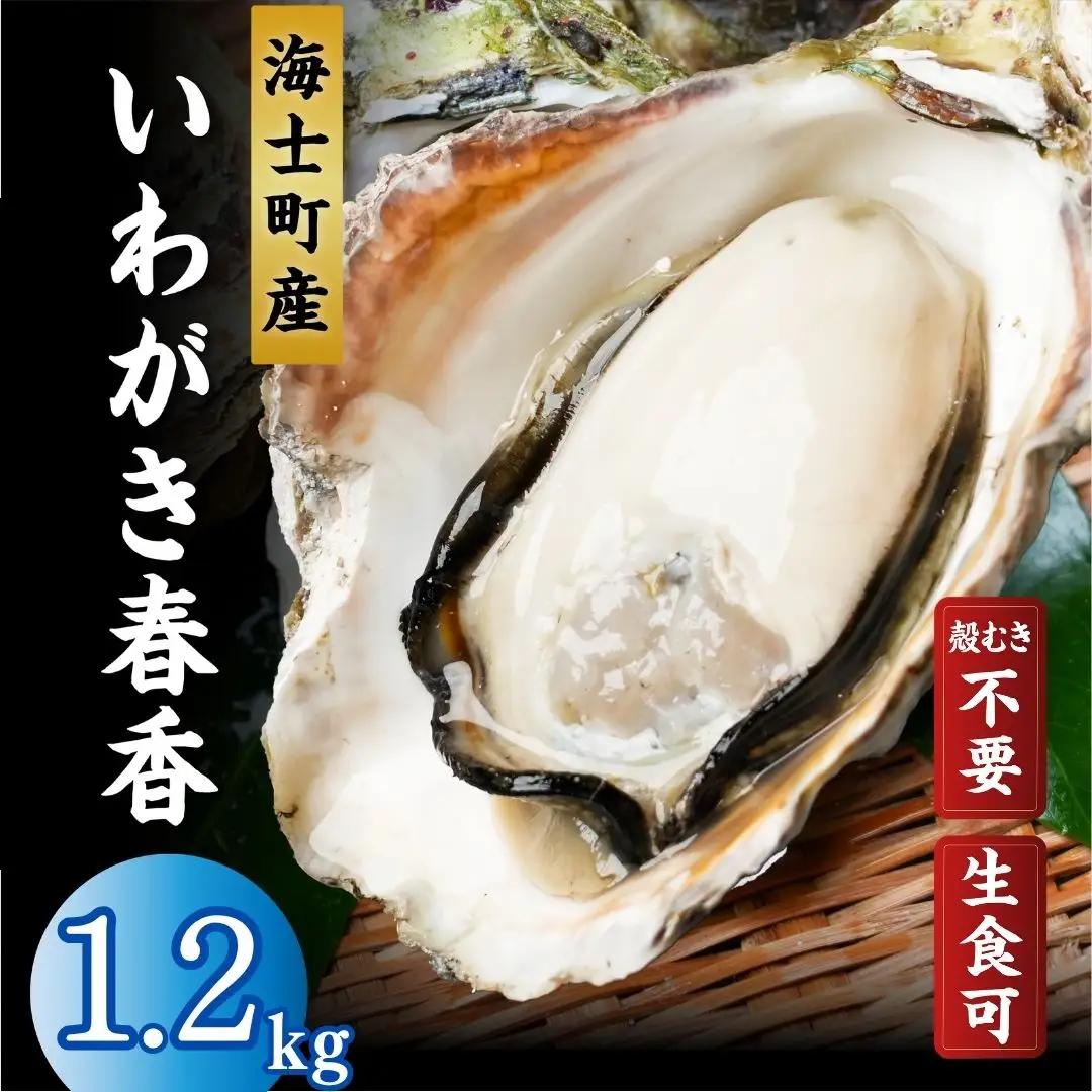 海士町産 牡蠣 冷凍 殻剥き不要 1.2g(10-12個)