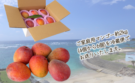 【2027年発送】【先行受付】【ご家庭用】徳之島 天城町 島マンゴー園 完熟マンゴー 2kg マンゴー フルーツ BA-4-N