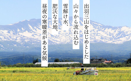 【冷凍】でわのもち使用　もち米玄米おむすび　20個（5種×各2個×2セット） 冷凍おにぎり
