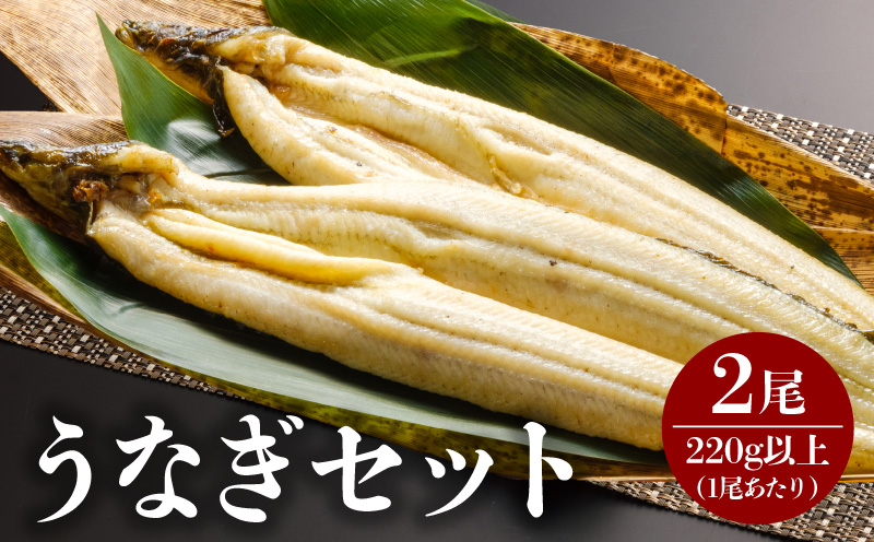 うなぎ白焼 2尾 うなぎ ウナギ 鰻 白焼 2尾 たれ タレ 鰻のタレ うなぎのタレ 惣菜 贈答 贈り物 ギフト プレゼント ご褒美 手土産 お祝い 内祝い 冷凍 グルメ お取り寄せ お取り寄せグルメ