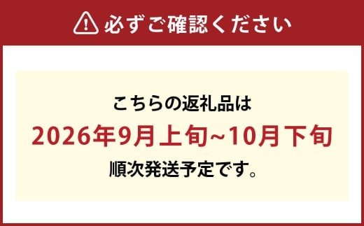 岡山県産 シャインマスカット 晴王 1房 約750g【2026年9月上旬-10月下旬 発送予定】｜種無し 皮ごと食べる 旬の美味しさ フレッシュ 先行予約 ハレノフルーツ