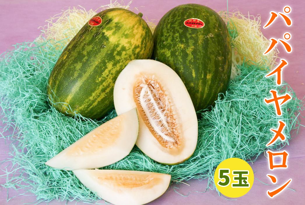 
                  印西の特産品 パパイヤメロン 5玉｜フルーツ 果物 ギフト 旬 [0500]
                