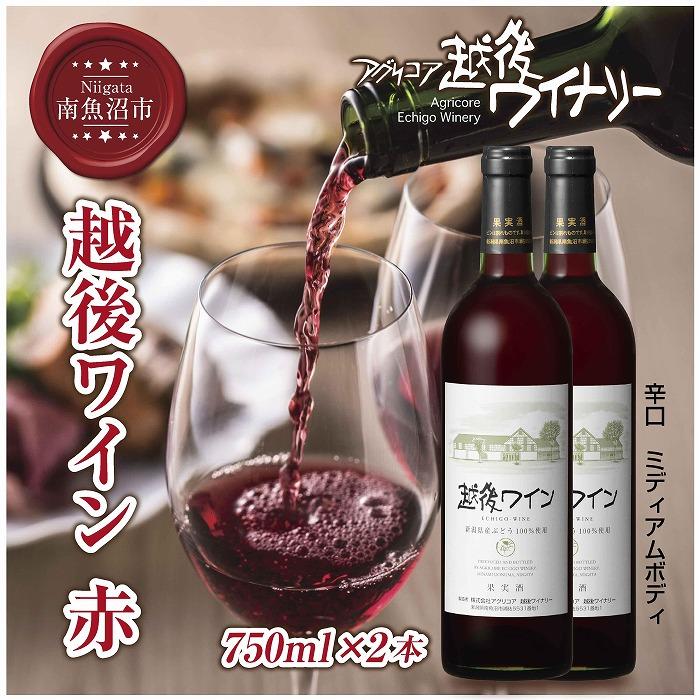 【ふるさと納税】越後ワイン 赤 750ml 2本セット アグリコア 越後ワイナリー 新潟県産 ぶどう100%使用 辛口 ミディアムボディ アルコール12% 国産ワイン 魚沼ワイン 送料無料 新潟県 南魚沼市 | お酒 さけ 人気 おすすめ 送料無料 ギフト