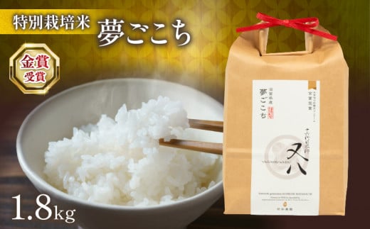 【 先行予約 】 新米 夢ごこち 1.8kg ( 令和7年産 2025年 ブランド 米 rice 精米 白米 ご飯 内祝い プレゼント ギフト お歳暮 もちもち 国産 送料無料 滋賀県 竜王町 ふるさと納税 )