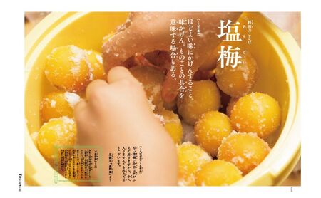 絵本 日本のことばずかん セット 絵本