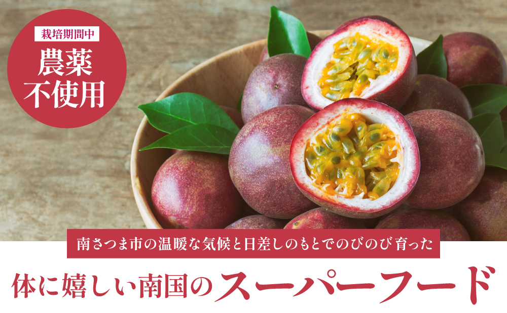 【鹿児島県産】パッションフルーツ 約2kg（10～12個程度×2箱） フルーツ 果物 旬 南国 鹿児島 南さつま市 清直kajuen