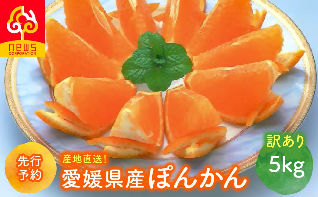 【先行予約】【訳あり】産地直送！愛媛県産ぽんかん 5kg（2027年1月上旬より順次発送）IKTF033