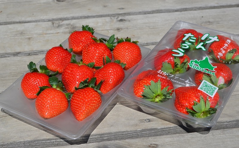 【期間限定】おがファームの道産子いちご 大粒「けんたろう」520g
