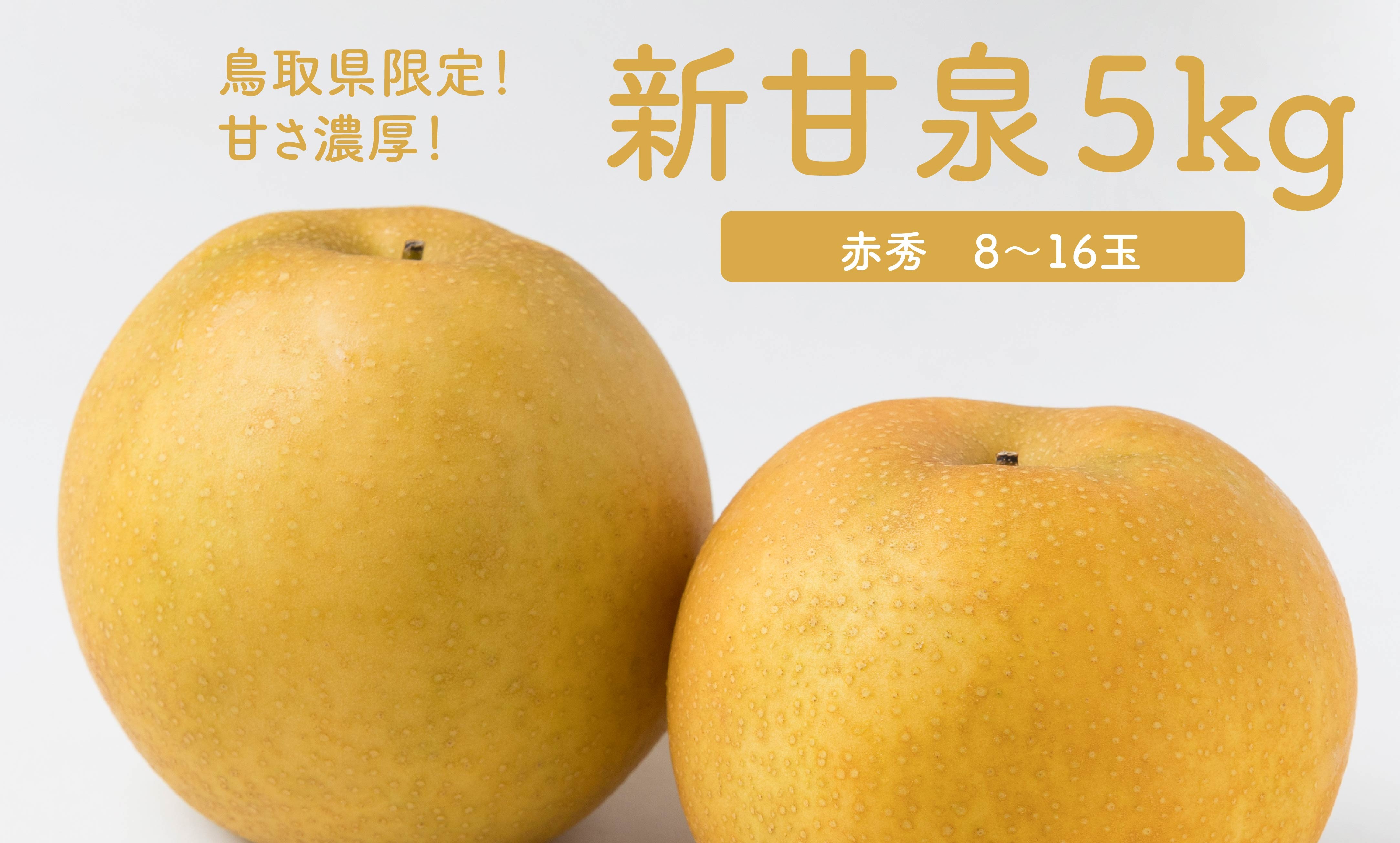 
                  【2026年発送分先行受付】新甘泉 5kg 8玉～16玉 赤秀 JA鳥取いなば 8月下旬から順次発送【もぎたて 旬 フルーツ 果物 オリジナルブランド 新品種 赤梨 梨 シャキシャキ 新甘泉】 ＜Y024＞
                