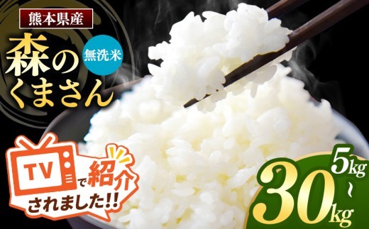 
                  熊本県産 森のくまさん 無洗米 選べる 内容量 5kg ～ 30kg | お米 無洗米 送料無料 お米 熊本 くまもと お米  熊本県  国産 KOKUSAN 国産米 熊本県 玉名市
                