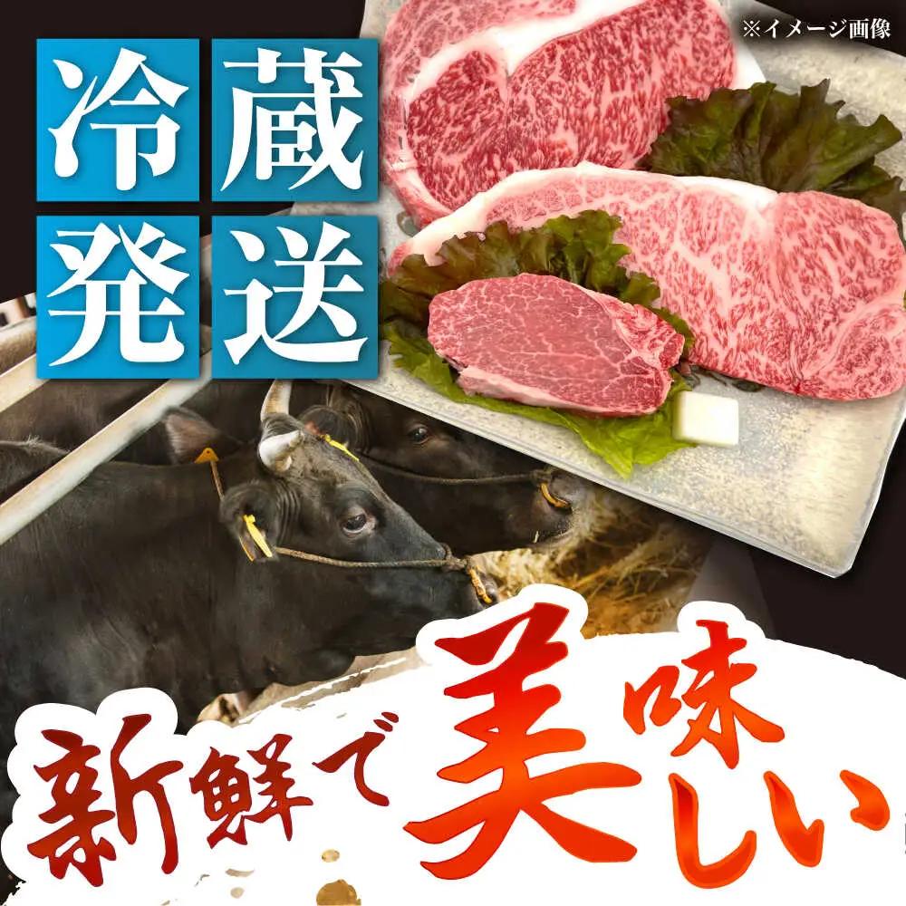 飛騨牛 A5 ステーキ3種盛り！ ヒレ・サーロイン・リブロース / 恵那市 / 東美濃農業協同組合 [AUFX024]