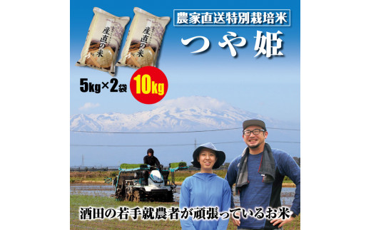 つや姫 計10kg 5kg×2袋 特別栽培米 令和7年産米 山形県産 米 お米 白米 精米 ブランド米 庄内米 東北 山形県 酒田市 庄内 たかとし農園 庄内い～ものや SE0477