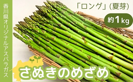 アスパラガス さぬきのめざめロング 夏芽 香川県産 アスパラガス【約1kg】