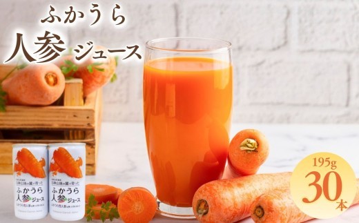 【2024年1月15日～順次配送】ふかうら人参ジュース195g×30本