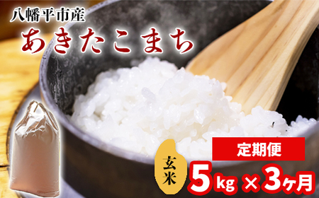 新米 先行予約 【令和8年産】 あきたこまち 玄米 5kg ×3ヶ月定期便 《2026年11月より順次発送開始予定》 ／ げんまい 岩手県産 中沢農産