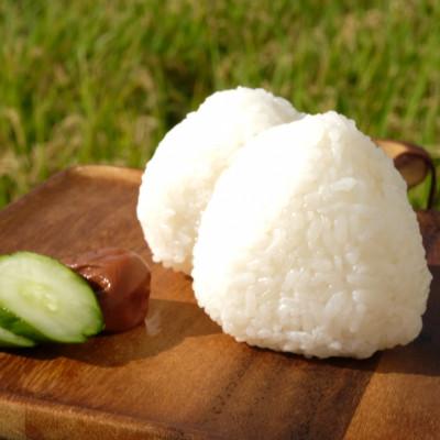 ふるさと納税 大和高田市 【令和7年産】奈良県産 ひとめぼれ 精米 10kg ( 5kg×2 ) |  | 03