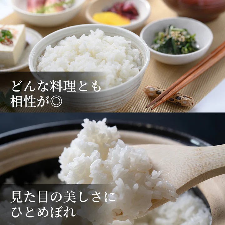 因幡の白兎米 ひとめぼれ 令和7年産 精米済 10kg（5kg×2袋）