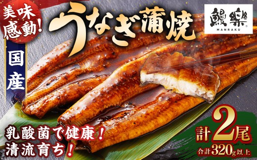 【訳あり】極上鰻! うまい!＜うなぎ 国産 うなぎ蒲焼 2尾 320g以上＞ふるさと納税 うなぎ 高級 長蒲焼 鰻 夏バテ防止 ウナギ 鰻 かば焼き 蒲焼き 丑の日 タレ 宮崎県産 国産 九州産 宮崎県 高鍋町 送料無料