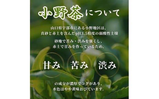 【山口のお茶】小野茶 小(300ml) 24本入り