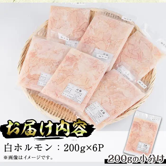 白ホルモン(約計1.2kg・200g×6P)豚肉 モツ 小分け 冷凍 国産【J-5】【幸食品】