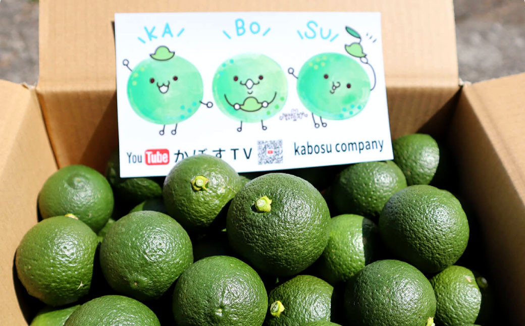 大分 1号（種あり） 1.5kg （約12～15玉） カボス 青果