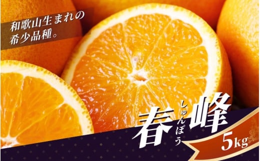 【先行予約】 和歌山発の新品種！ 春峰 5kg 和歌山の希少柑橘 （2026年2～3月頃から順次発送予定）（しゅんぽう/はるかぜ） / 清見オレンジと文旦 みかん 和歌山蜜柑 和歌山ミカン 高級みかん 人気みかん みかんランキング 果物 くだもの フルーツ 柑橘 蜜柑 産地直送 国産 和歌山 【tcs010】