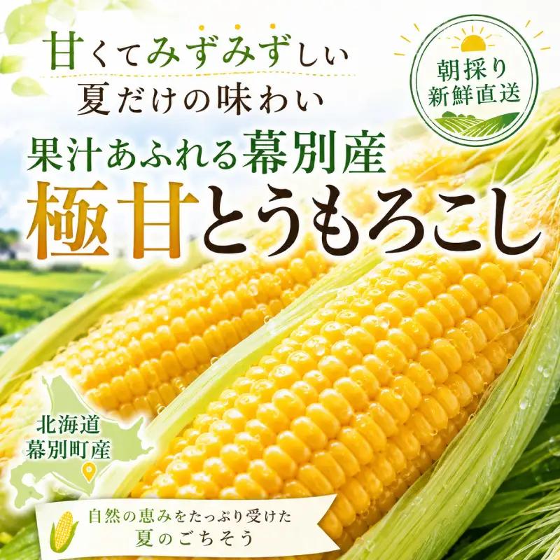 先行予約 2026年 黄とうもろこし 18～20本 とうもろこし