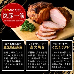 No.445 【毎月下旬に発送】＜定期便・計5回(冷凍便)＞鹿児島県産焼豚スライス(200g×5袋×5回) 国産 九州産 チャーシュー 豚肉 お肉 冷凍 おかず おつまみ 5kg 定期便 頒布会【末永